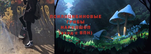 стаф Аркадак