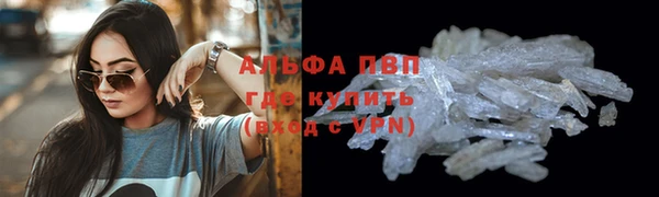 стаф Арсеньев