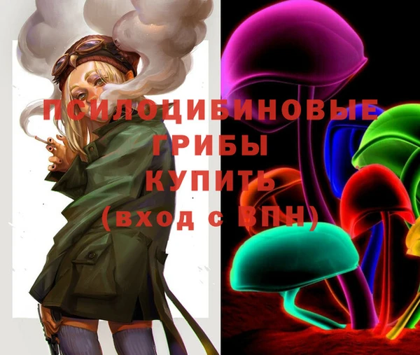 стаф Аркадак