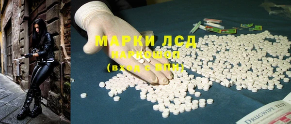 стаф Арсеньев