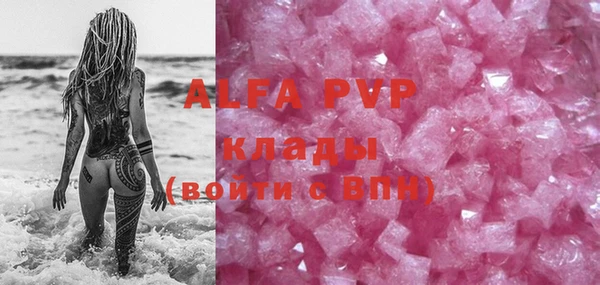 стаф Арсеньев