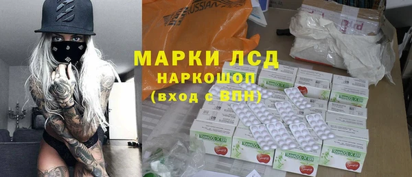 стаф Аркадак