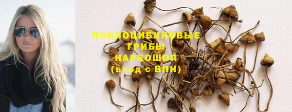 ешки Армянск