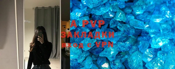 стаф Аркадак